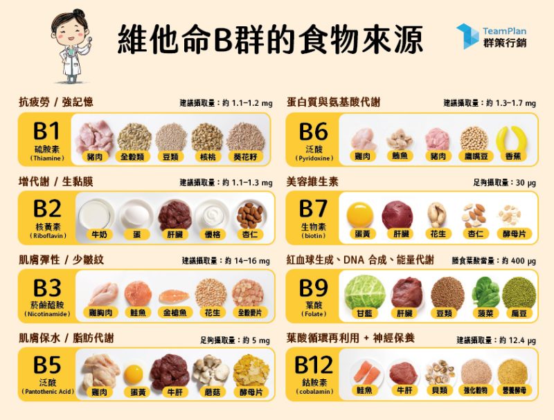 8種維他命B群:B1、B2到B12一天攝取量、B群功效與副作用一次搞懂!- 群策整合行銷
