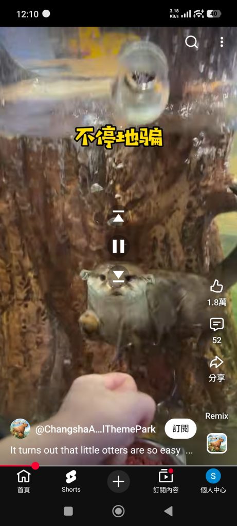 2026 Instagram Reels最新攻略:Reels長度、Reels意思與IG新功能一次看懂,掌握演算法更要累積知識資產 3 Youtube shorts